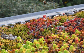 the cost of Churchton green roof installation
