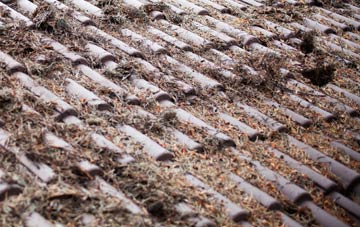 Churchton roof cleaning companies